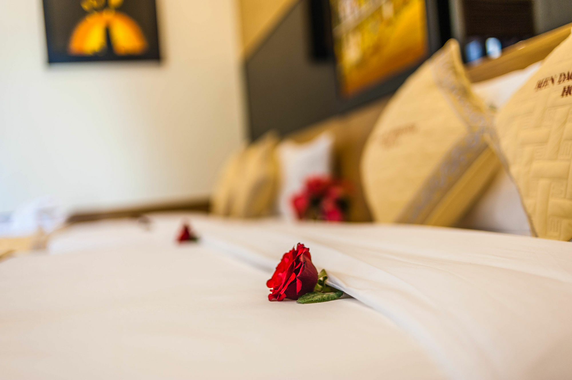 Bien Dao Homestay Hội An Kültér fotó